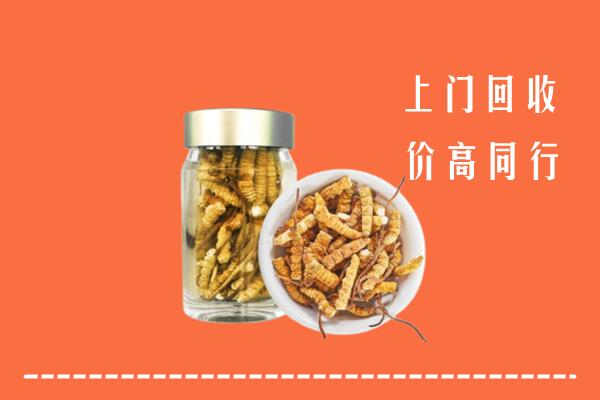 重庆合川区回收冬虫夏草